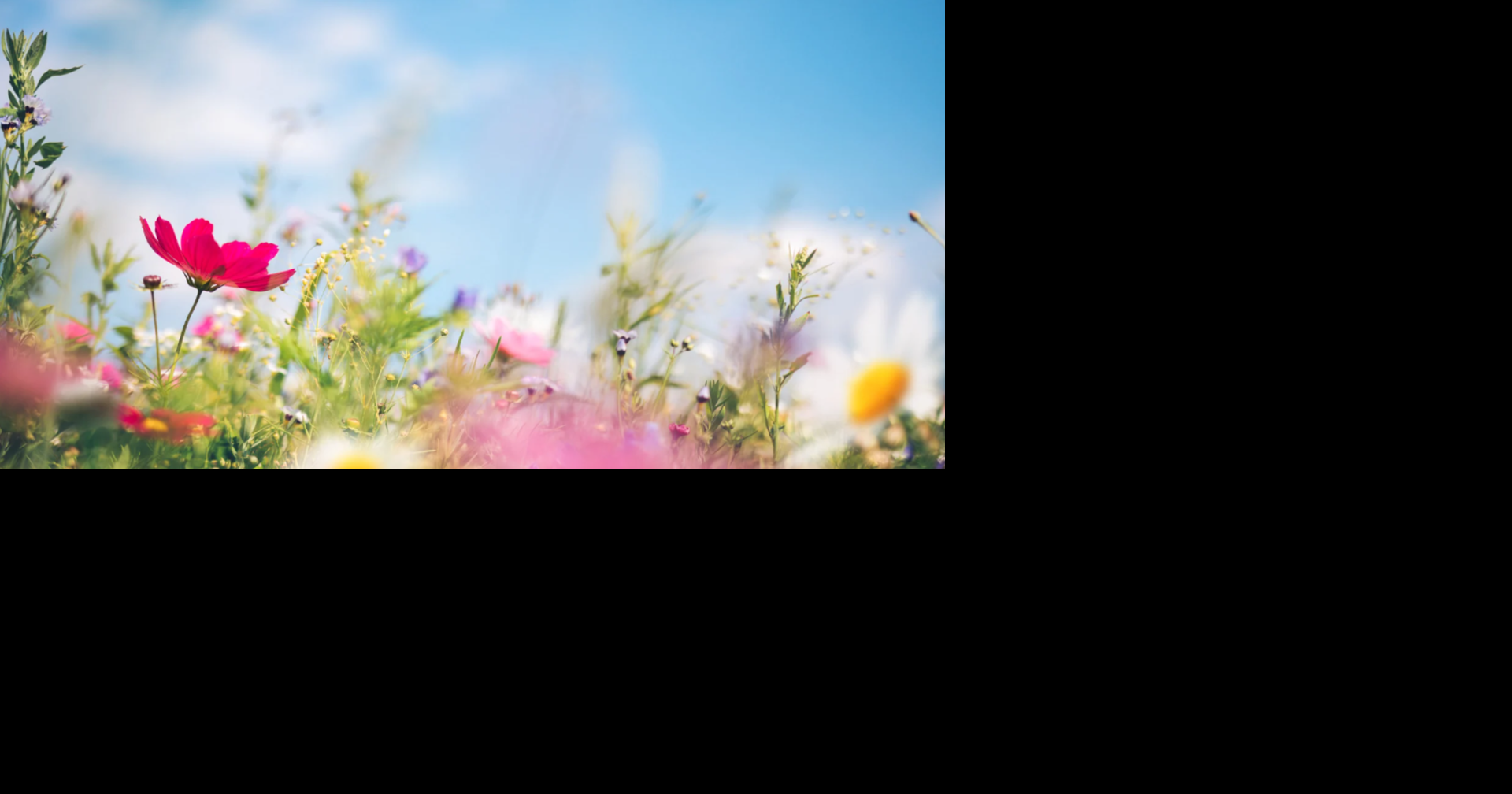 “False Spring” this week in Memphis? Warm spell may trigger early allergy season