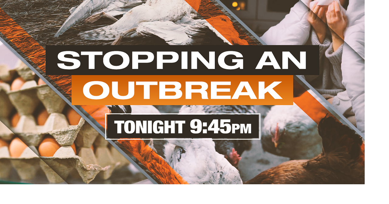 FOX13 Investigates the fight against the bird flu