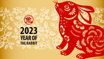 Celebrate the year of the Rabbit!