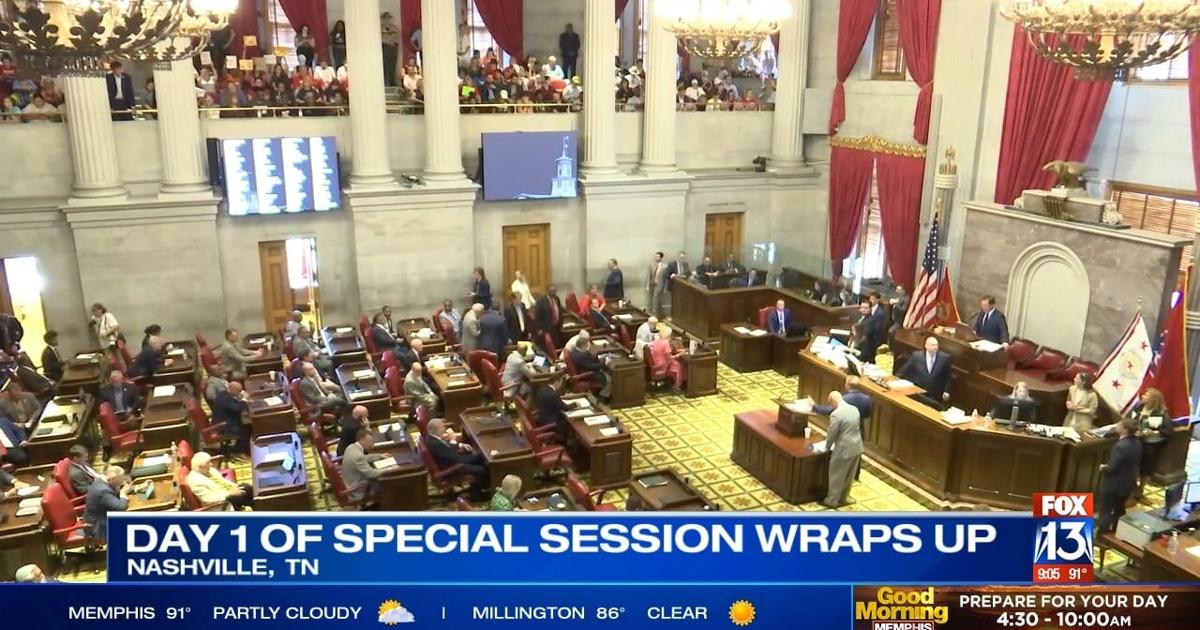 State Something ‘Get something done:' State legislators gather in Nashville for special ...