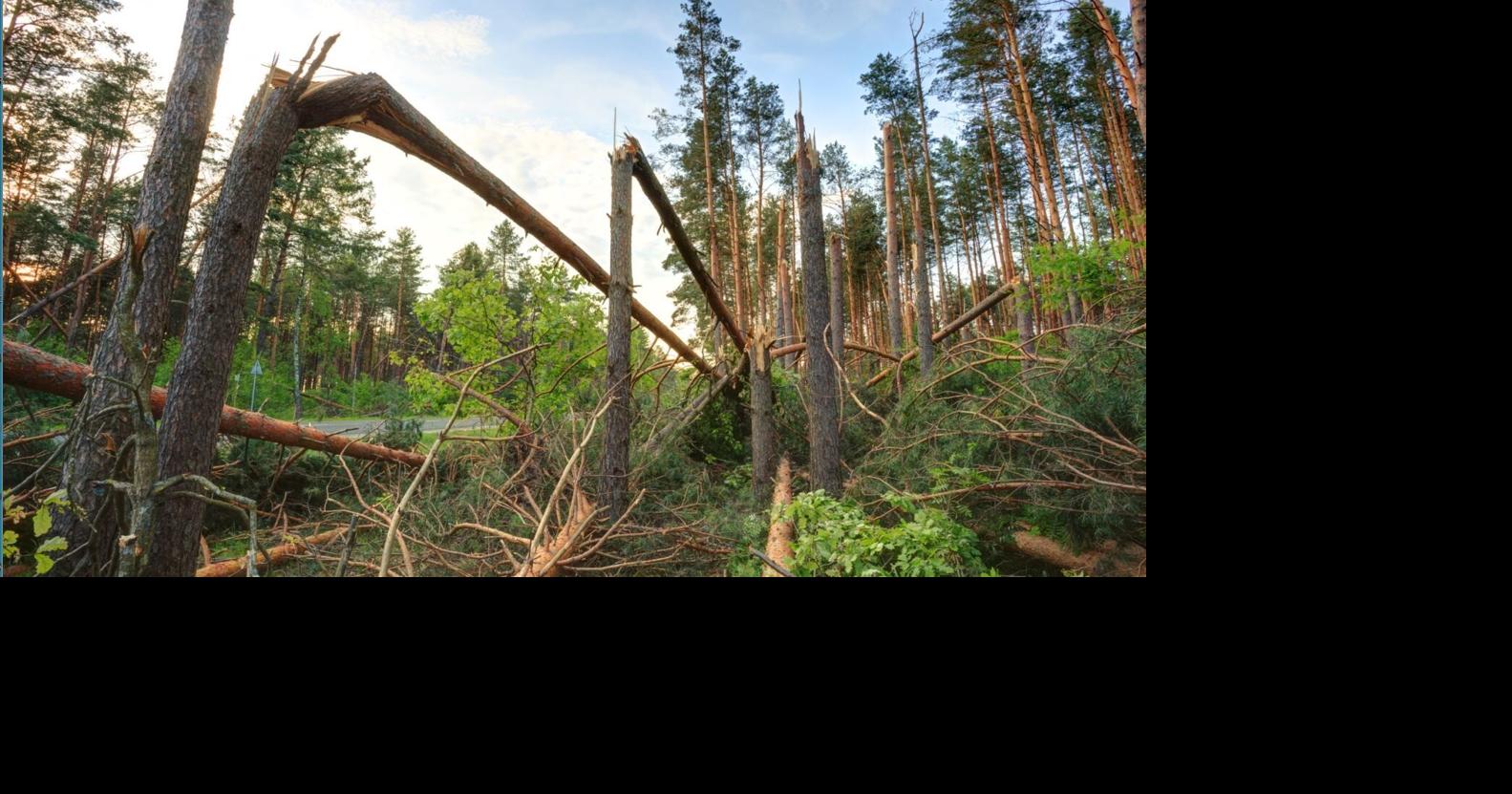 Miss. governor requests disaster declaration for counties impacted by ...