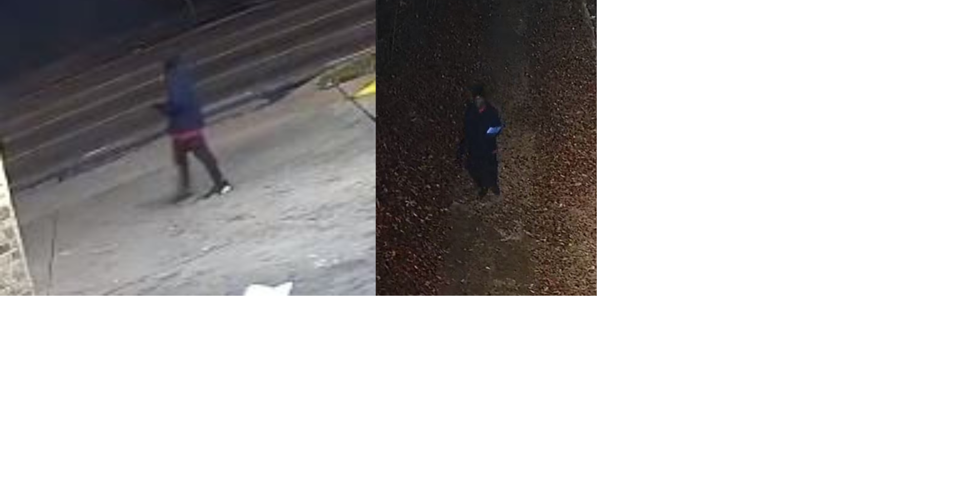 Woman shot to death in Whitehaven on Christmas Eve, MPD says News