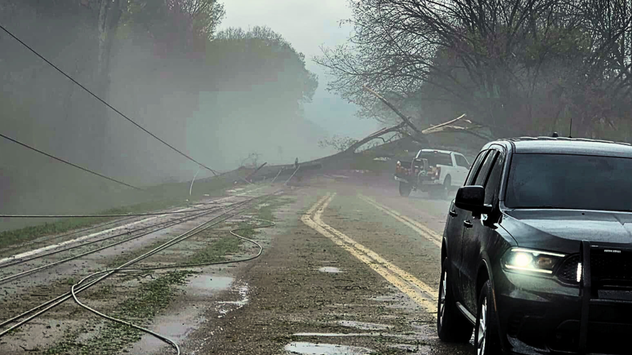 PHOTOS: Storms push down utility poles and trees in Fayette County ...