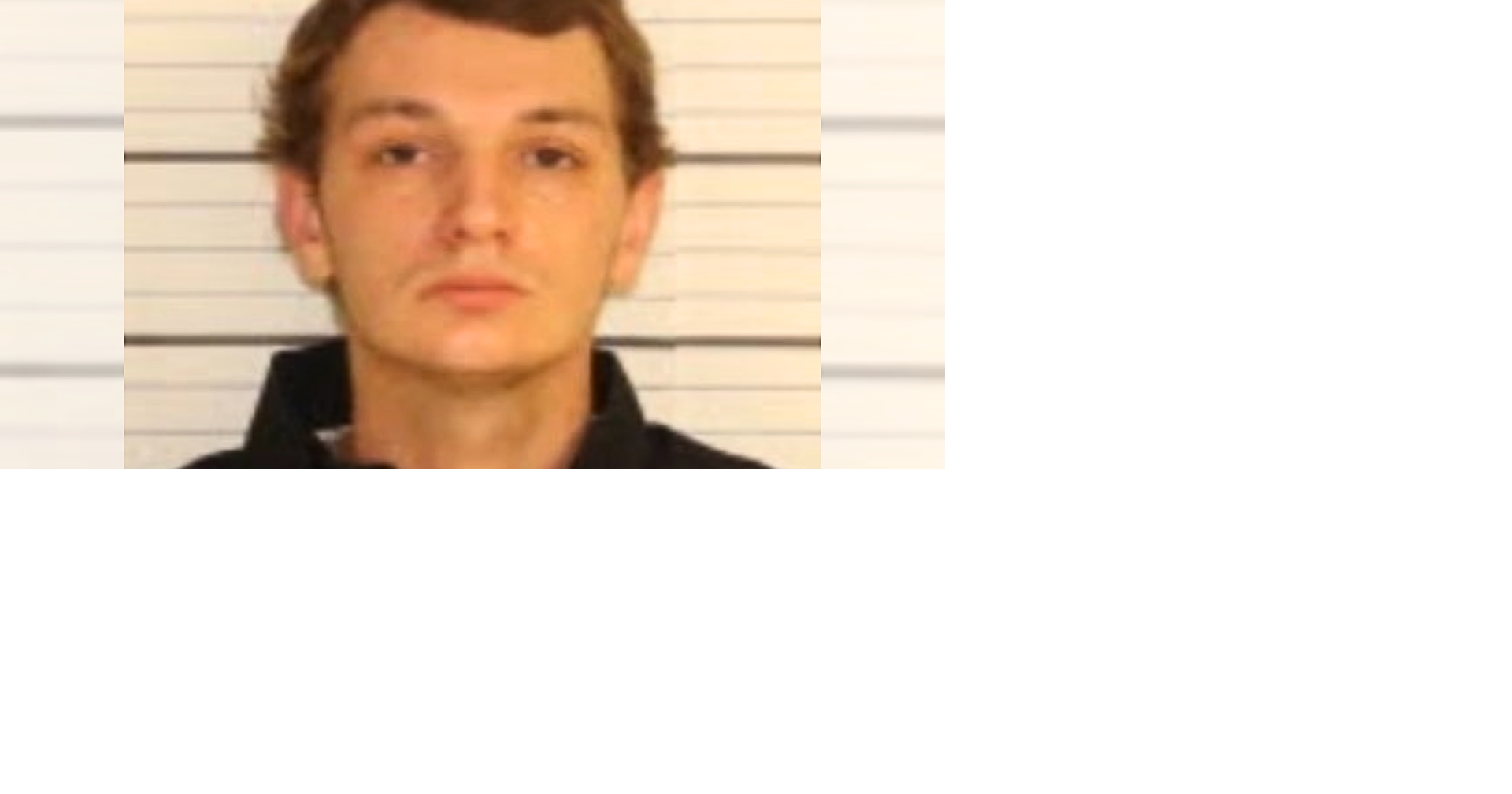 No jail time for man accused in Memphis golf course attack | News ...