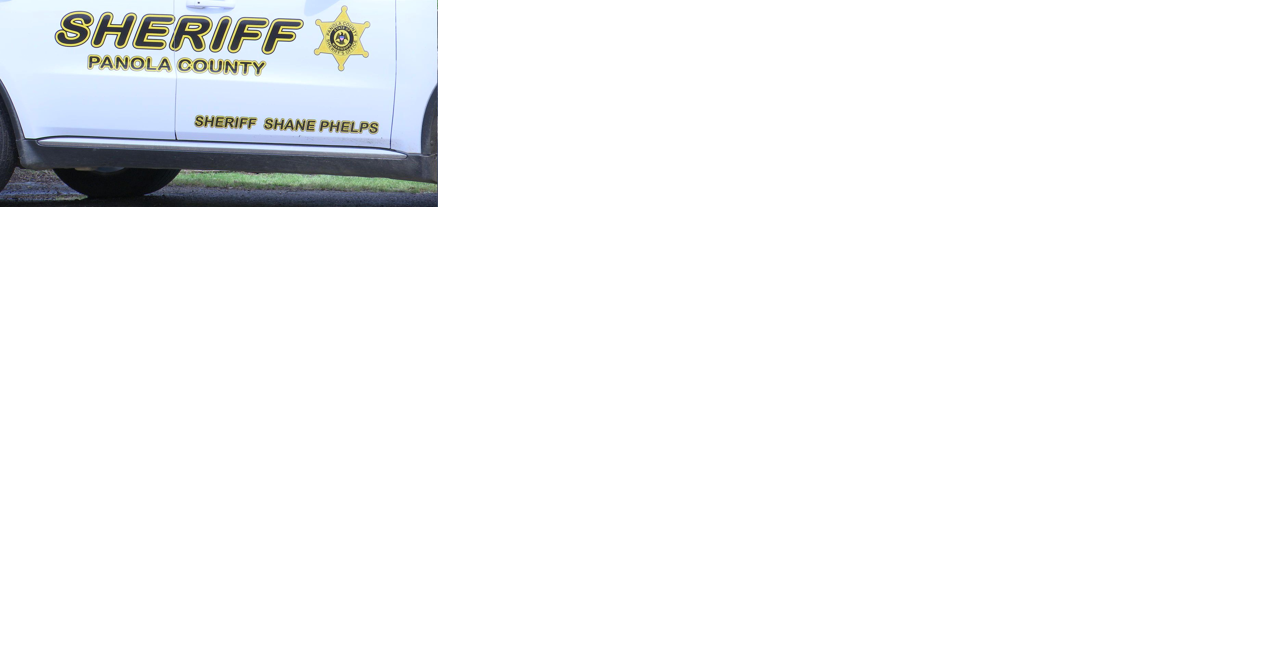 Man arrested after dog fighting ring bust in Mississippi, 28 dogs rescued, deputies say - Vimarsana News
