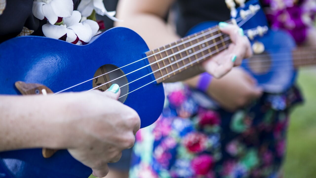 Ukuleles tiptoeing into music classrooms