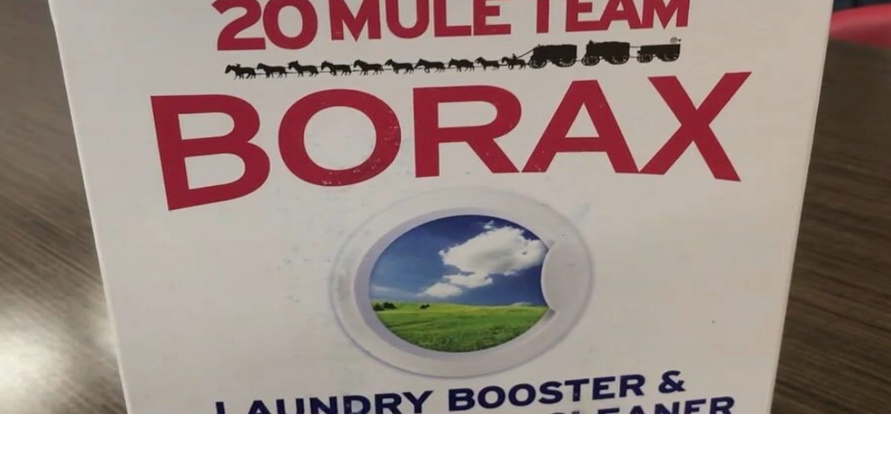 Can borax treat inflammation?