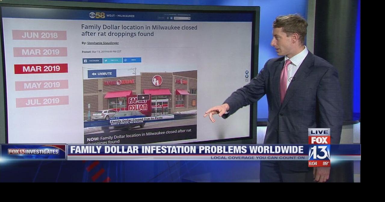 WATCH: Family Dollar infestation problems worldwide | FOX13 ...