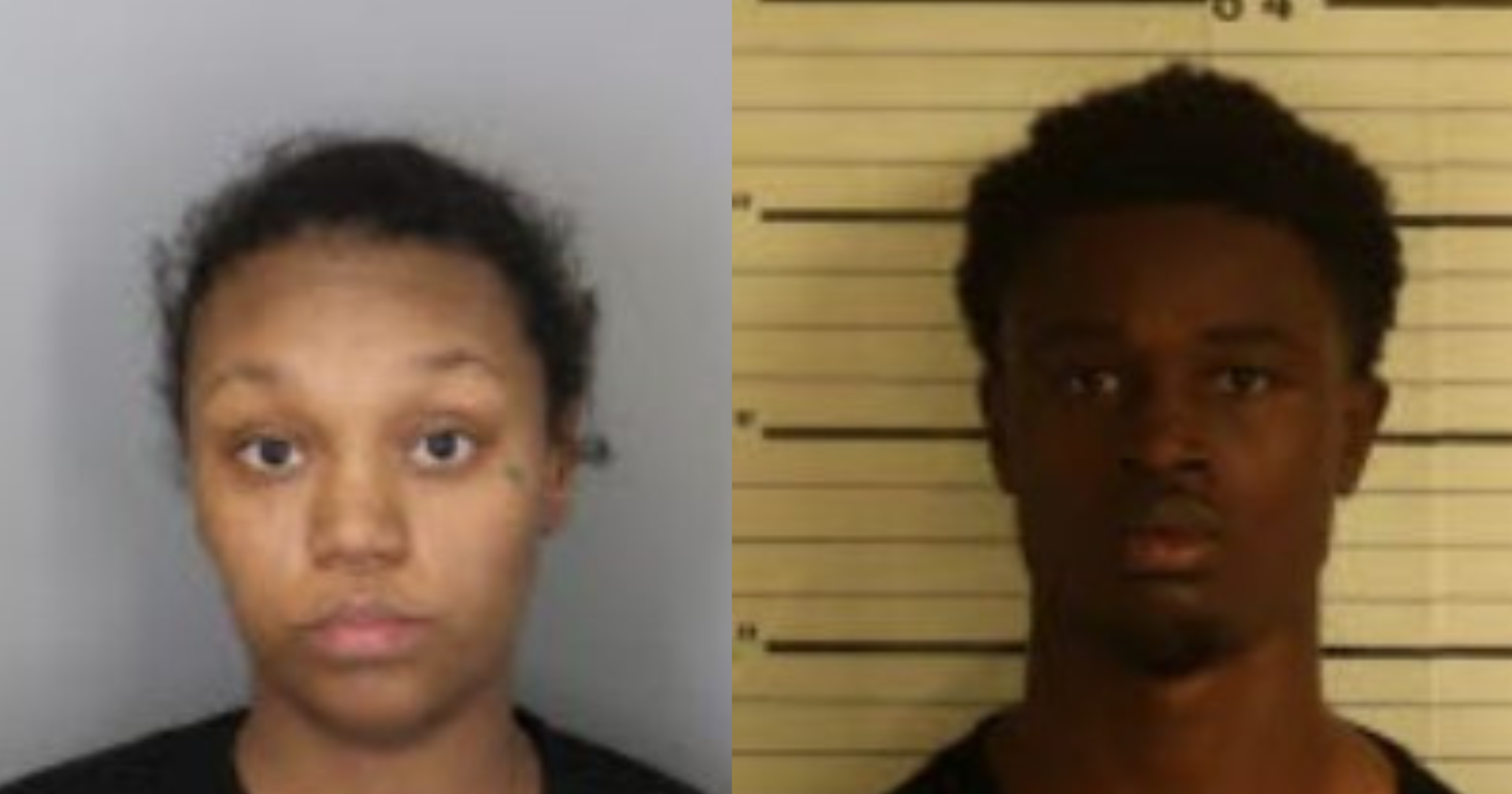 Two charged in connection to chop shop in Whitehaven, police say - Vimarsana News