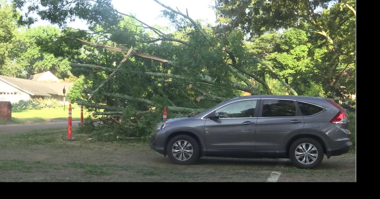 Multiple traffic lights out, downed trees blocking roads in Germantown