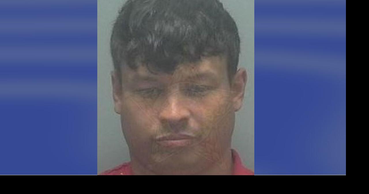 Texas man accused of animal cruelty after Florida police find 3 dogs in ...