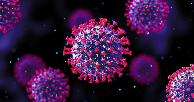 Shelby County confirms 6 parasitic cases; most unlinked to multistate outbreak