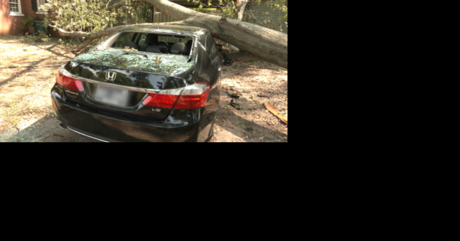 Sherwood family devastated after tree crushes car and damages roof