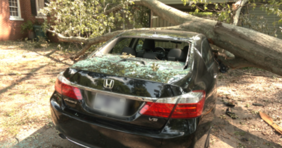 Sherwood family devastated after tree crushes car and damages roof