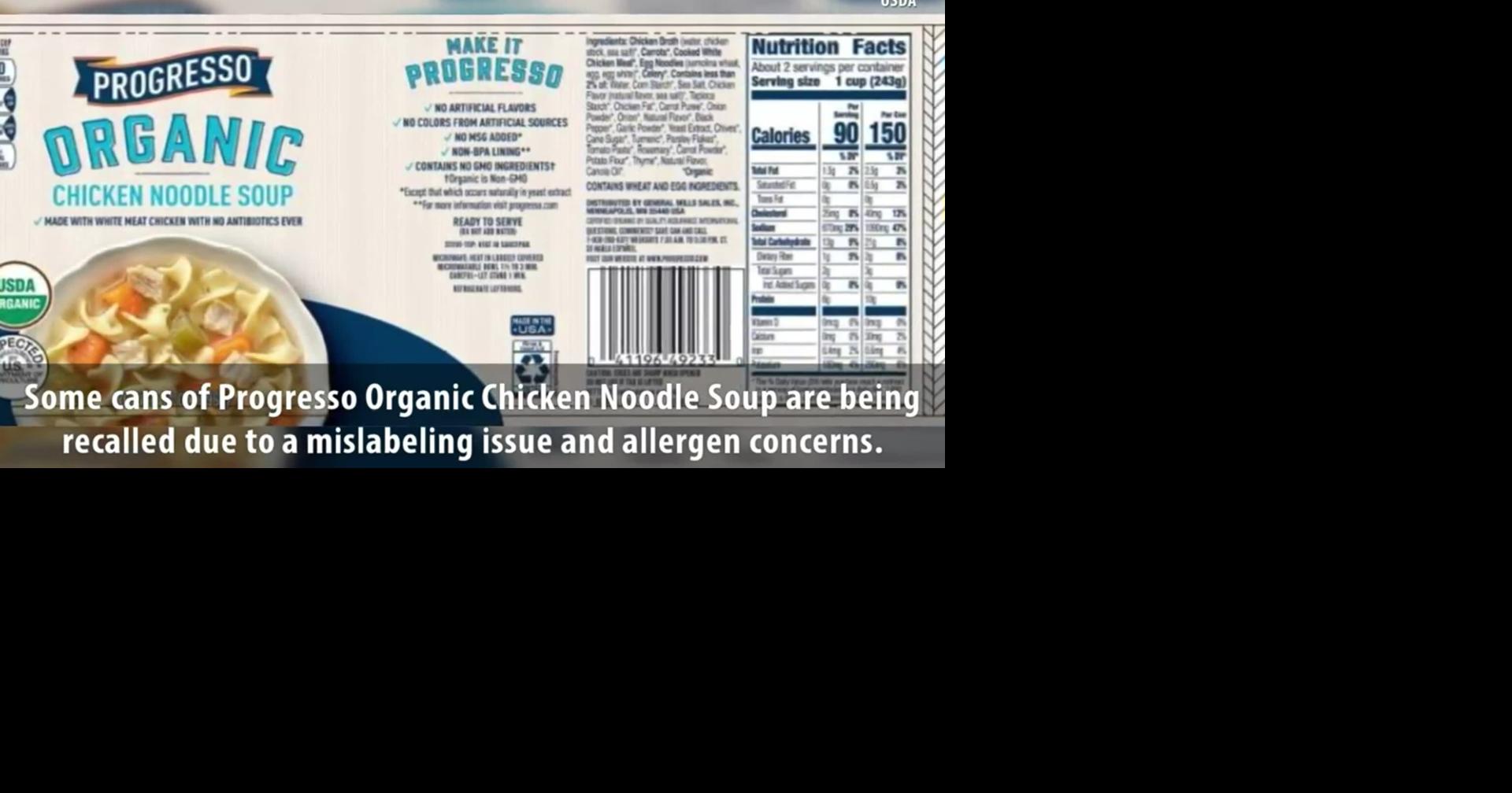 Save on Progresso Chicken Noodle Soup Organic Order Online
