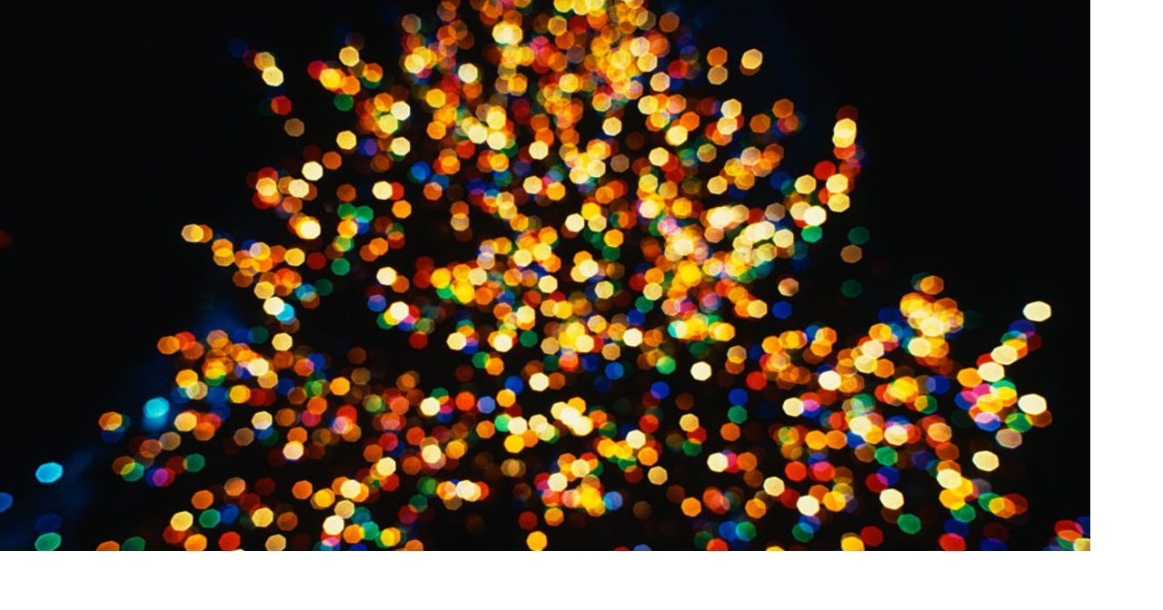 Shelby Farm’s Starry Nights lights up the holiday season News