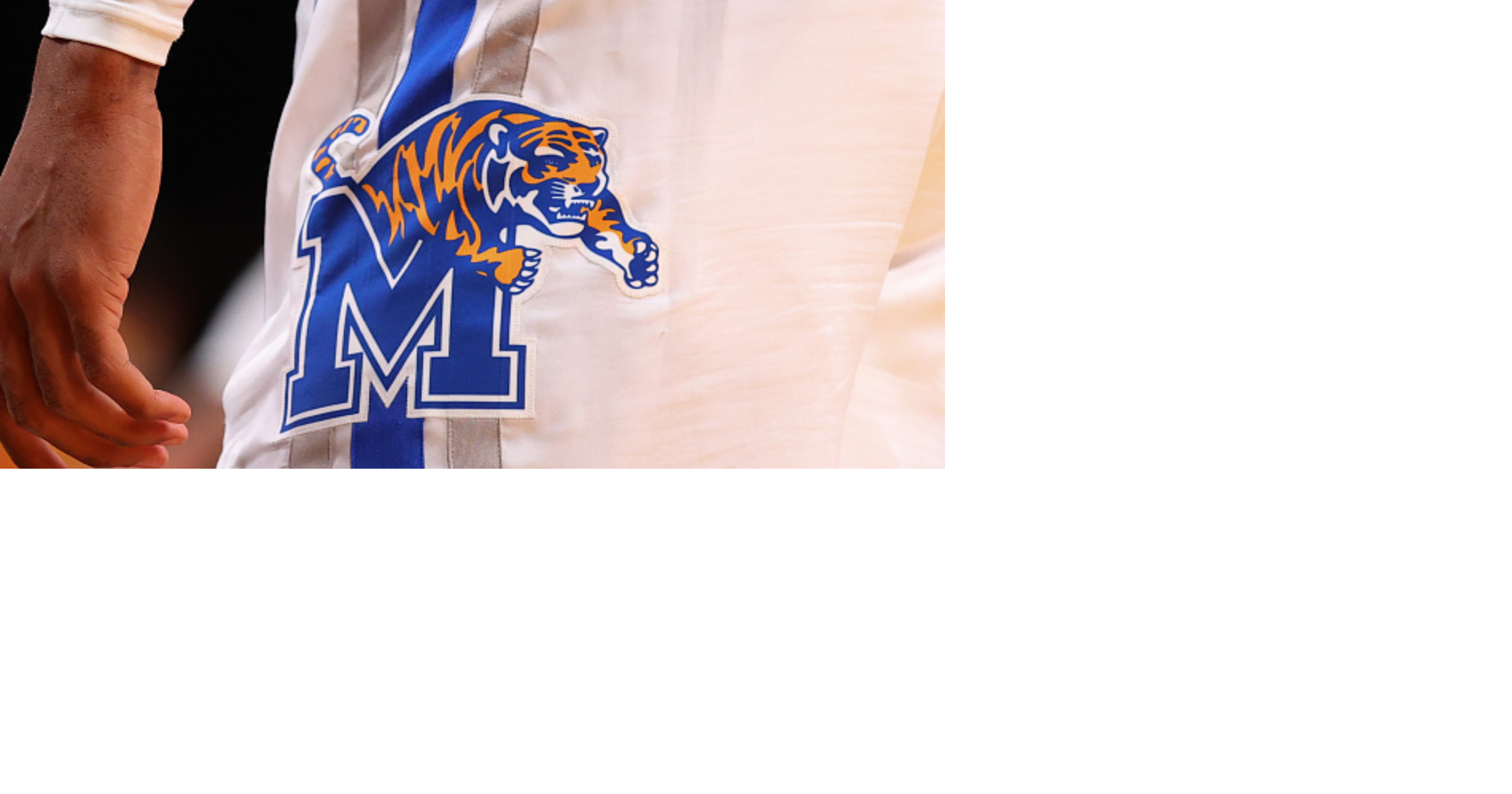 University of Memphis Tigers Printed House Flag 