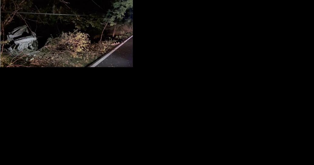 SCSO: Driver wrestles with officers, crashes in traffic stop | News - Vimarsana News