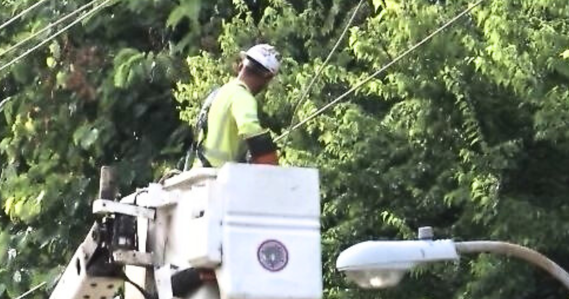 'We're behind': Memphis leaders approve $228 million for MLGW's tree-trimming efforts | News - Vimarsana News