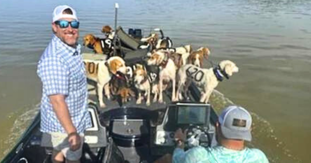 Fishermen rescue 38 dogs from drowning in Grenada Lake News