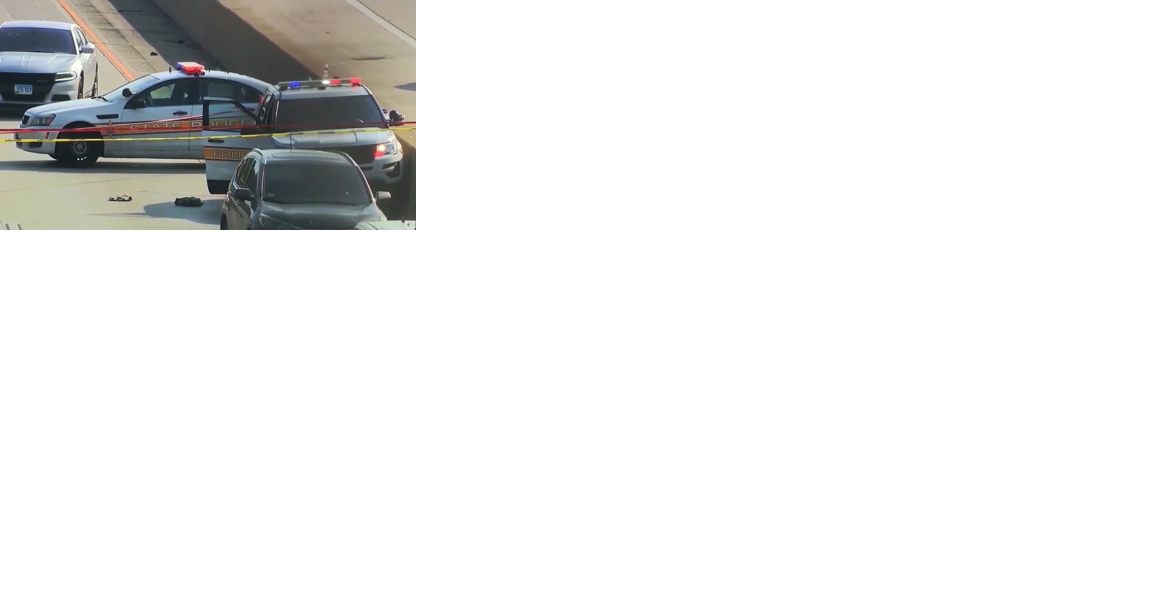 FOX13 Investigates call of shots fired at police while on interstate - Vimarsana News