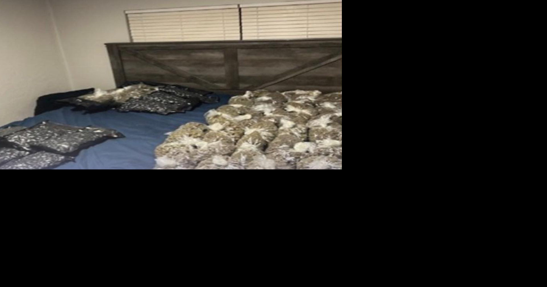 Police seize 8 guns, over 85 pounds of marijuana in January bust in East Memphis