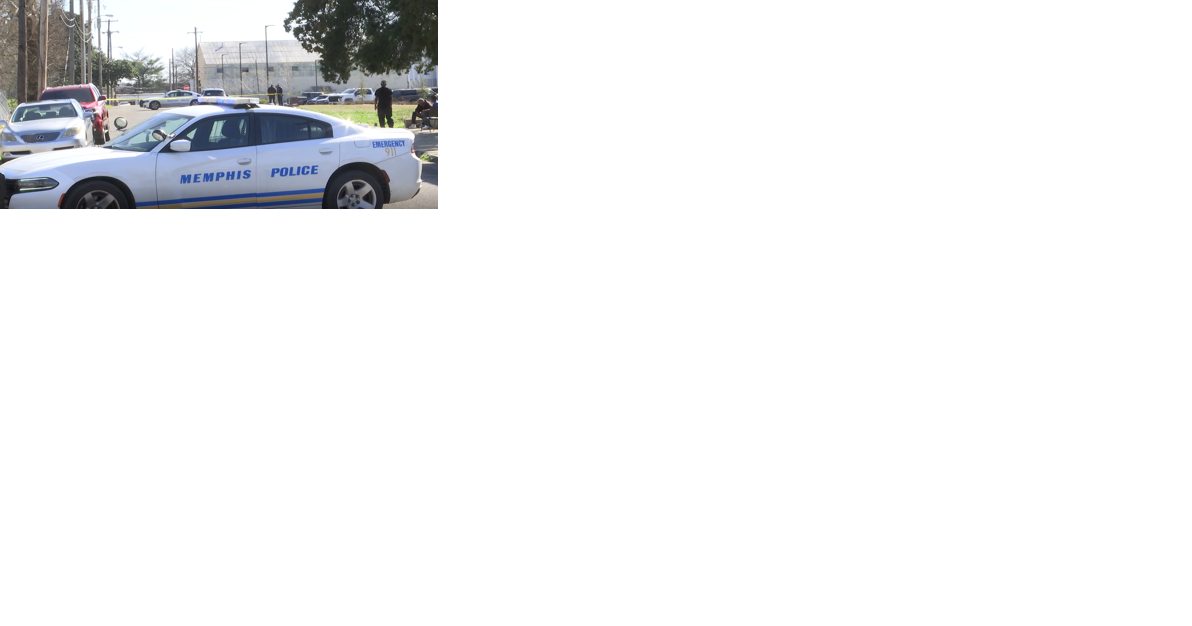 Memphis Police Association questions newly passed MPD reform ordinances - Vimarsana News