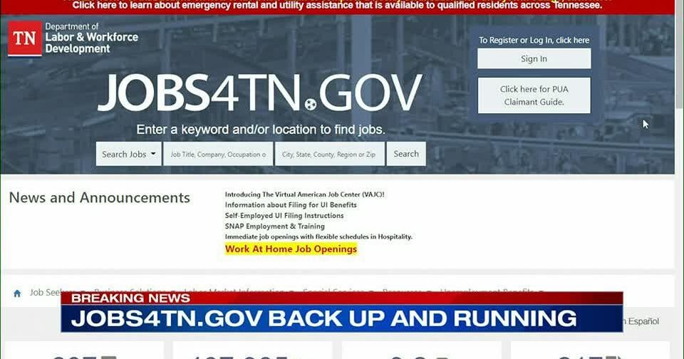 How to Apply for Emergency Food Stamps Memphis Tn: Quick Guide