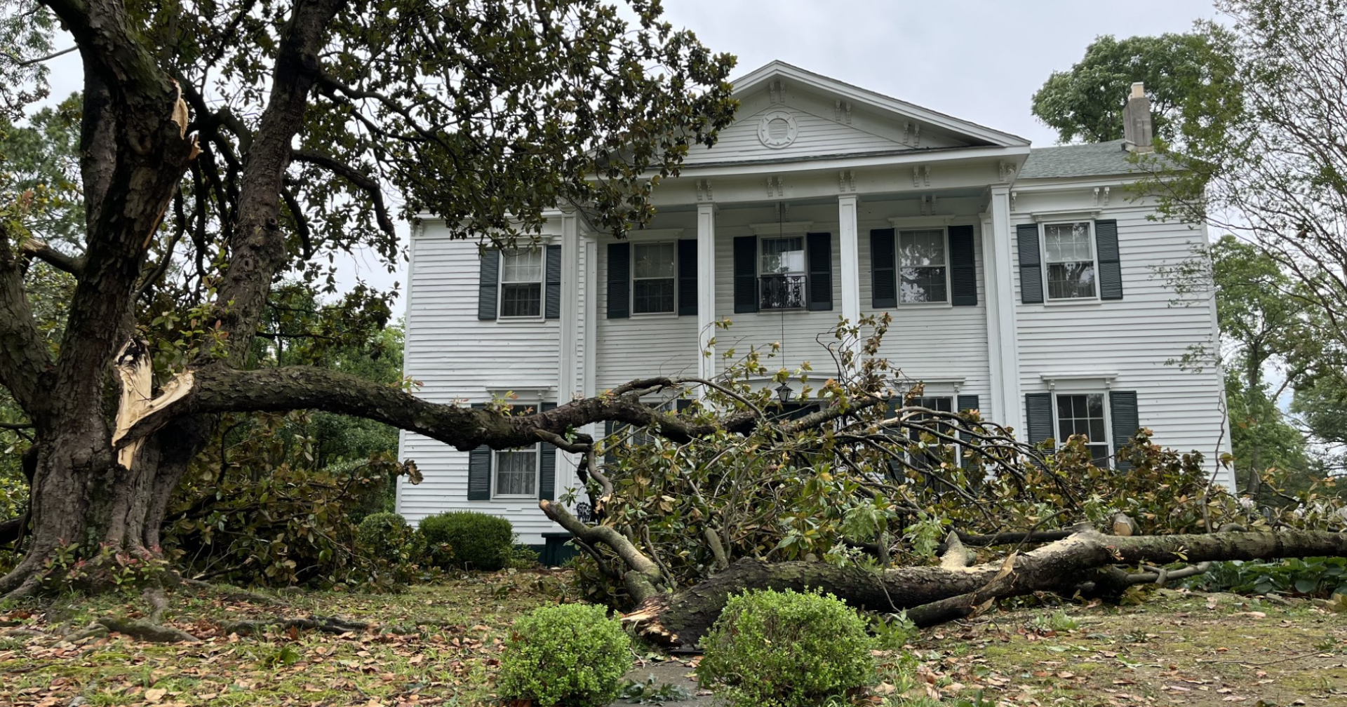 Mayor declares local emergency in Hernando after severe weather - Vimarsana News