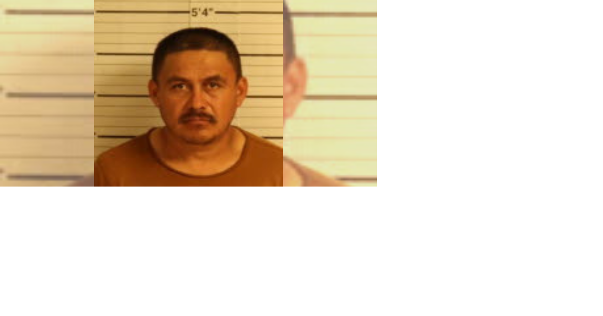 Man facing over 100 charges for animal cruelty after 98 birds rescued ...