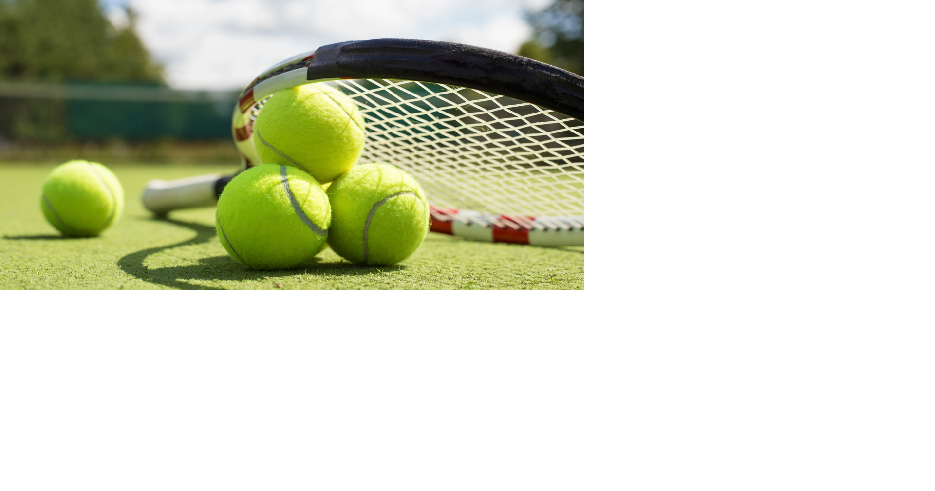 Tennis Oven Mitt - Grass Court Green – Racquet Inc Tennis Oven Mitt - Grass  Court Green – Racquet Inc