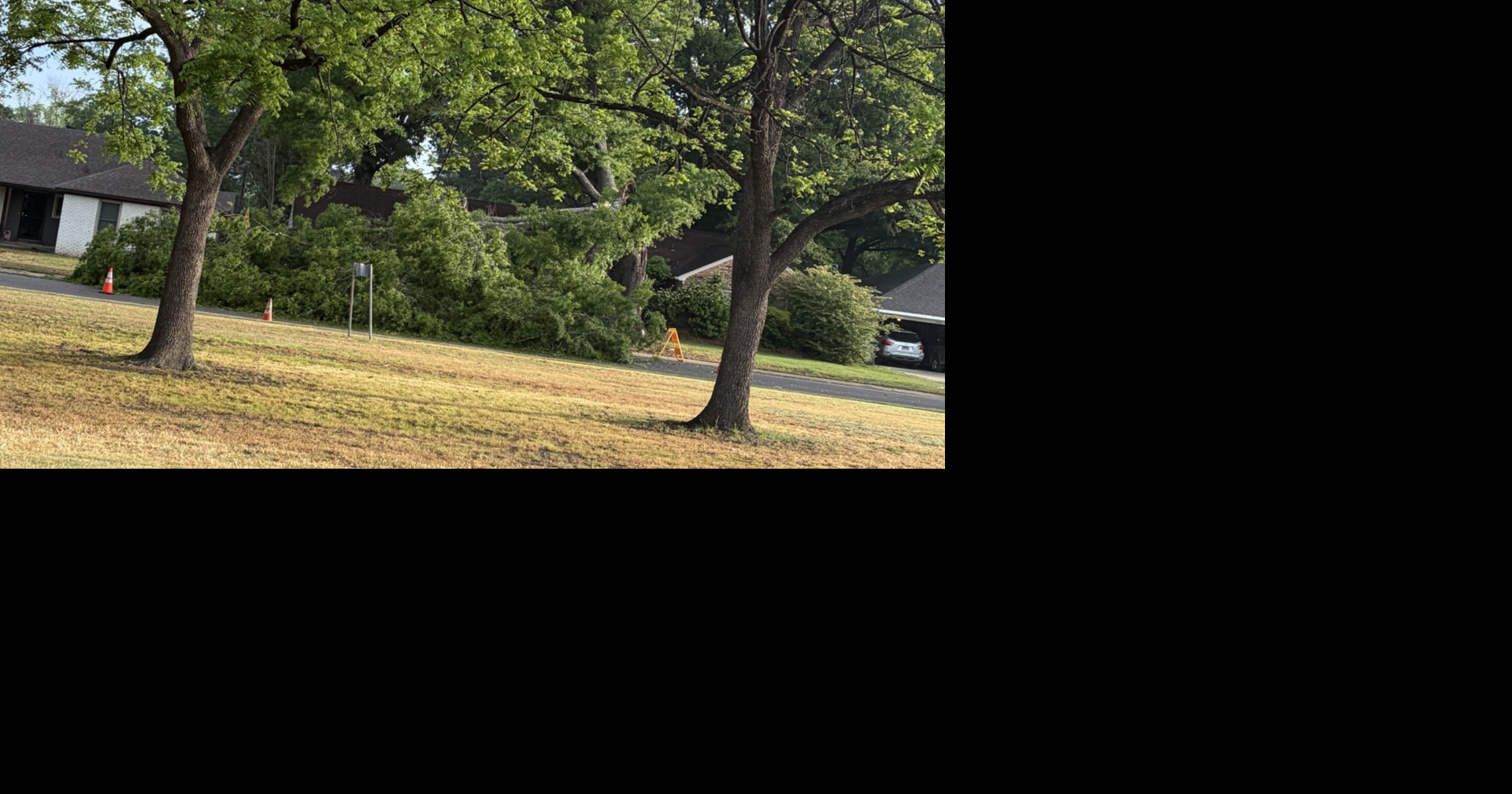 Memphis homeowner fears damaged tree could fall onto her house near elementary school