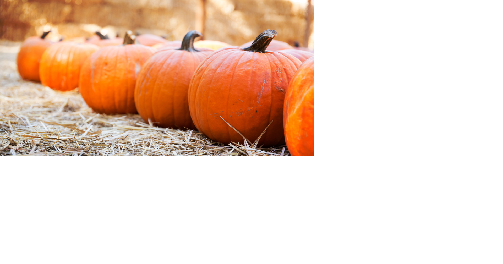 Mother warns families about Salmonella risk after baby became seriously ill following pumpkin activity