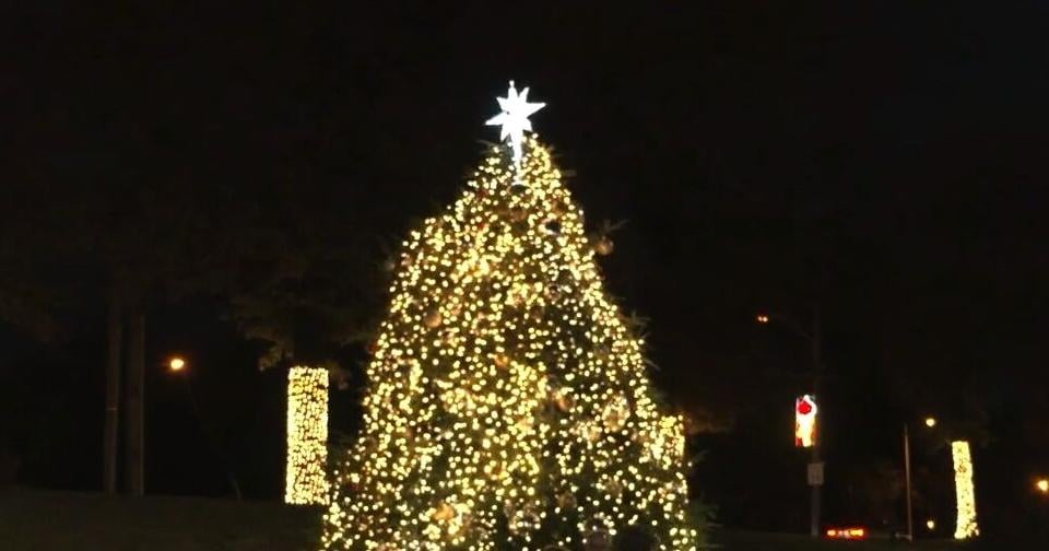 Families celebrate start of holiday season with Starry Nights and tree lighting events