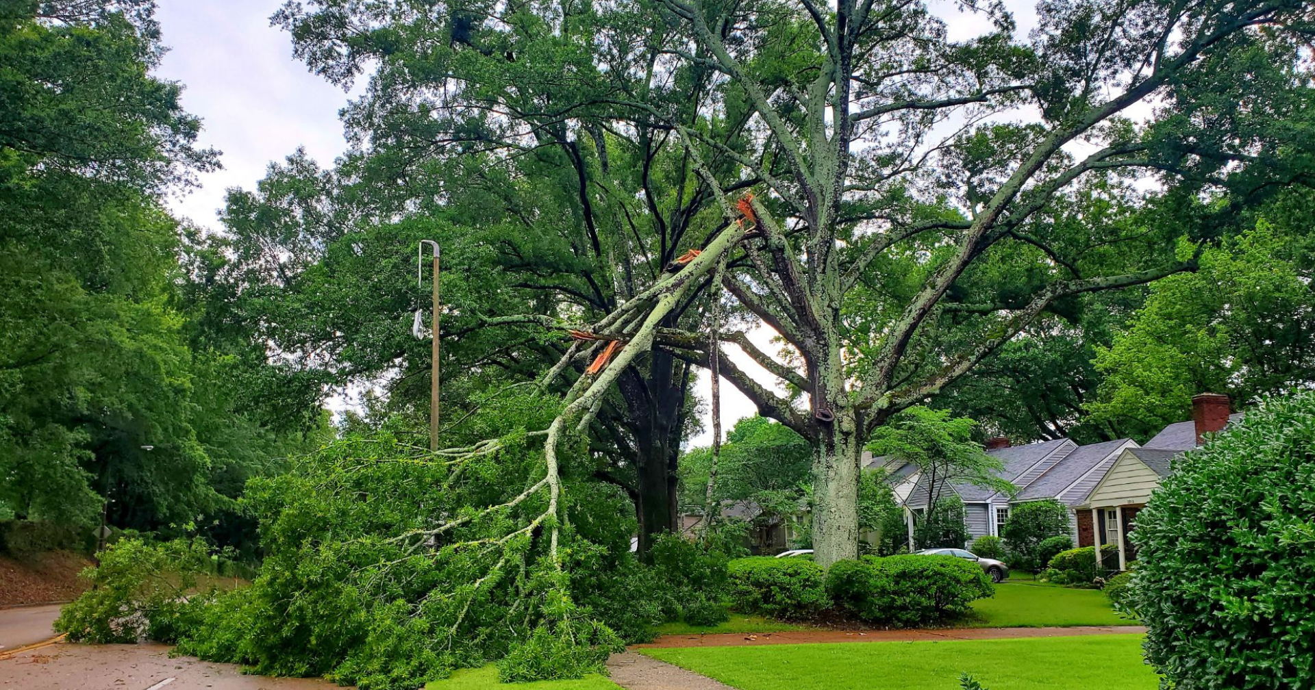 Storms continue to leave damage across the Mid-South - Vimarsana News