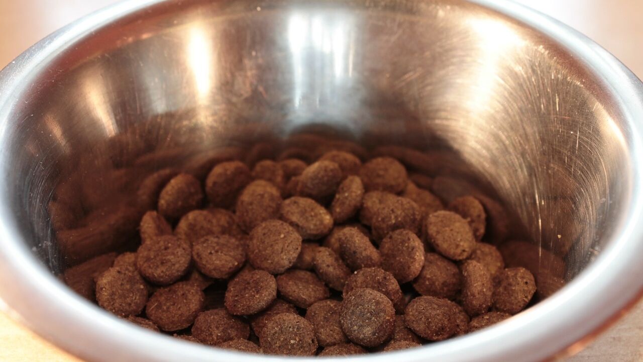 is heartland farms dog food good for dogs