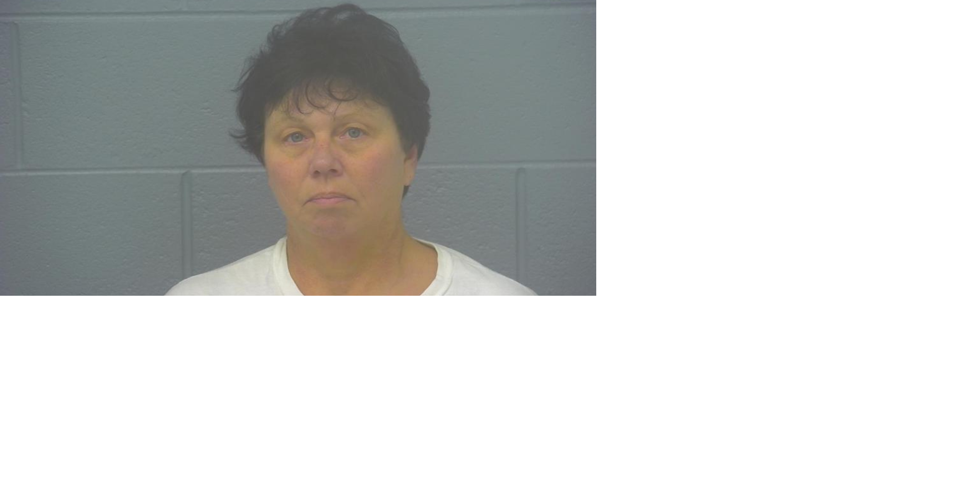 WATCH: Woman to be sentenced after pleading guilty to trying to steal ...