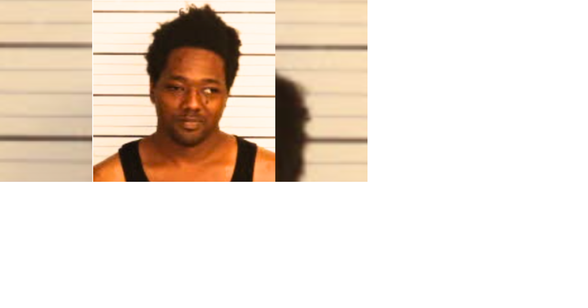 Man arrested for animal cruelty after neglecting to feed chained dogs ...