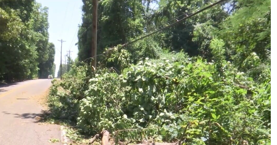 FOX13 Investigates Why do Memphis power outages keep happening? News