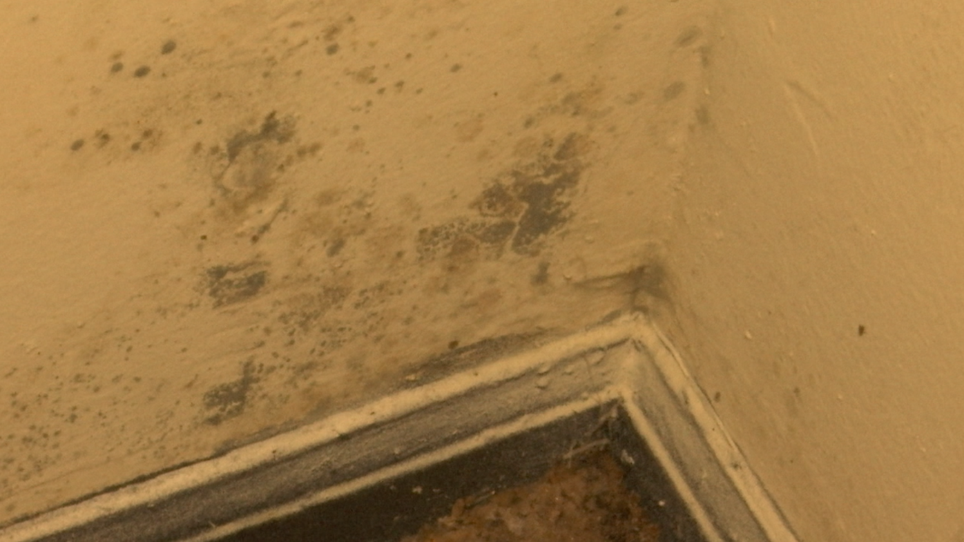 WATCH: Tenants complain of 'awful' mold in Whitehaven apartments, News