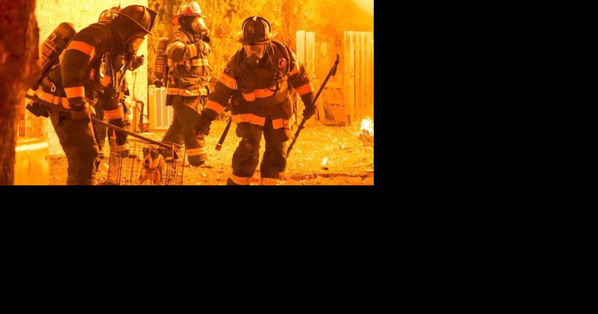 Dog rescued after MFD says fire erupts at Memphis duplex | News ...