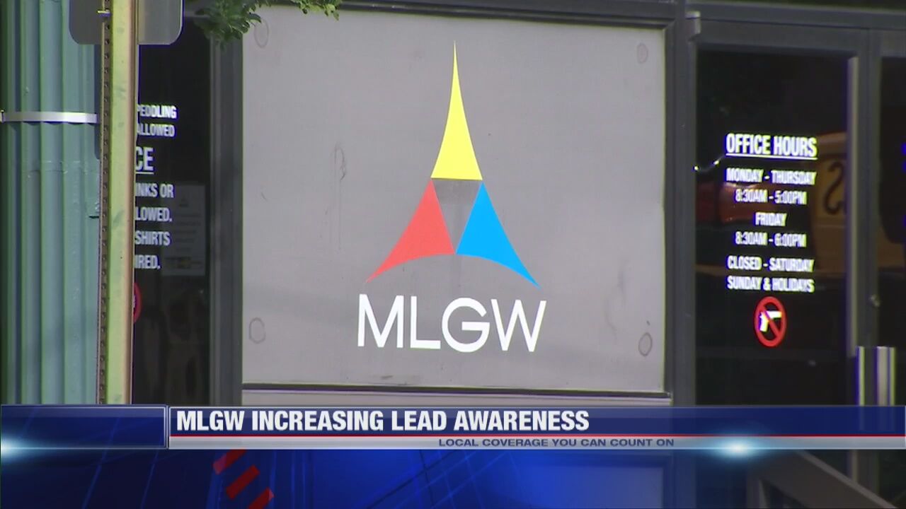 Local group working to bring awareness over lead pipes | News