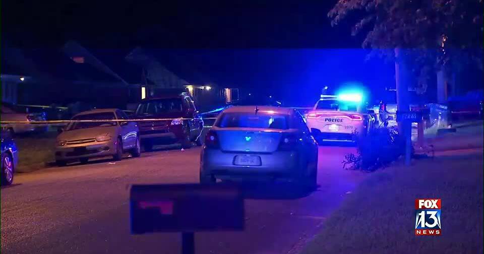Man shot to death overnight in Whitehaven, police say | News ...