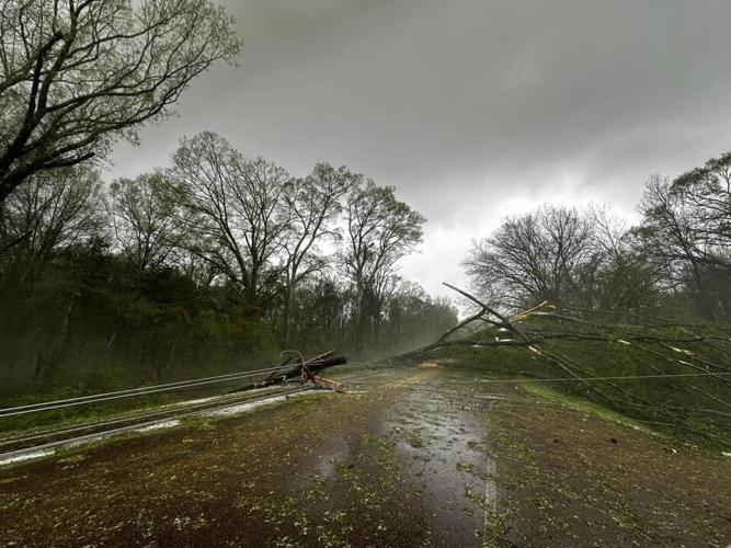 PHOTOS: Storms push down utility poles and trees in Fayette County ...