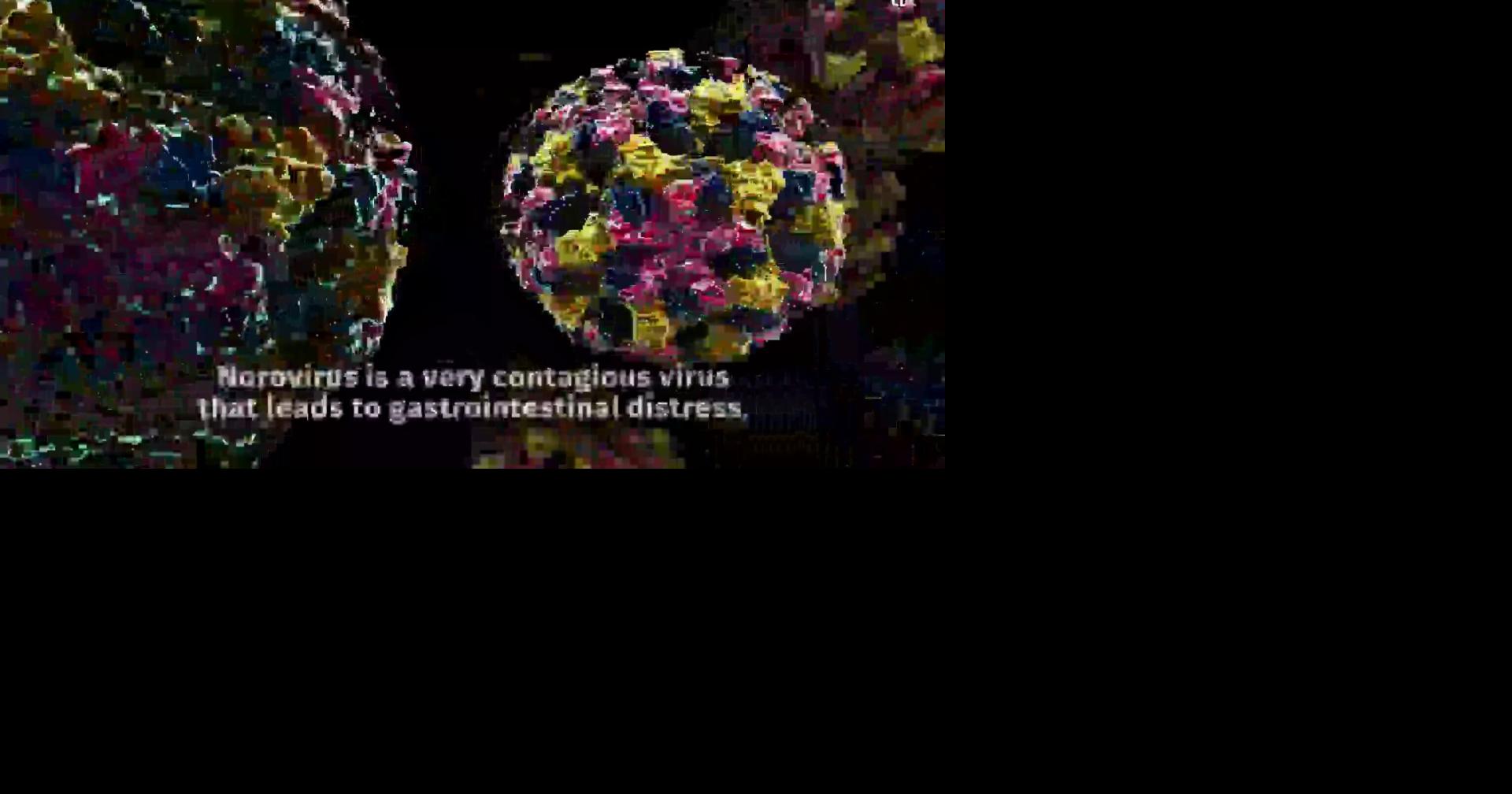 FDA Raw oysters linked to norovirus outbreak Trending