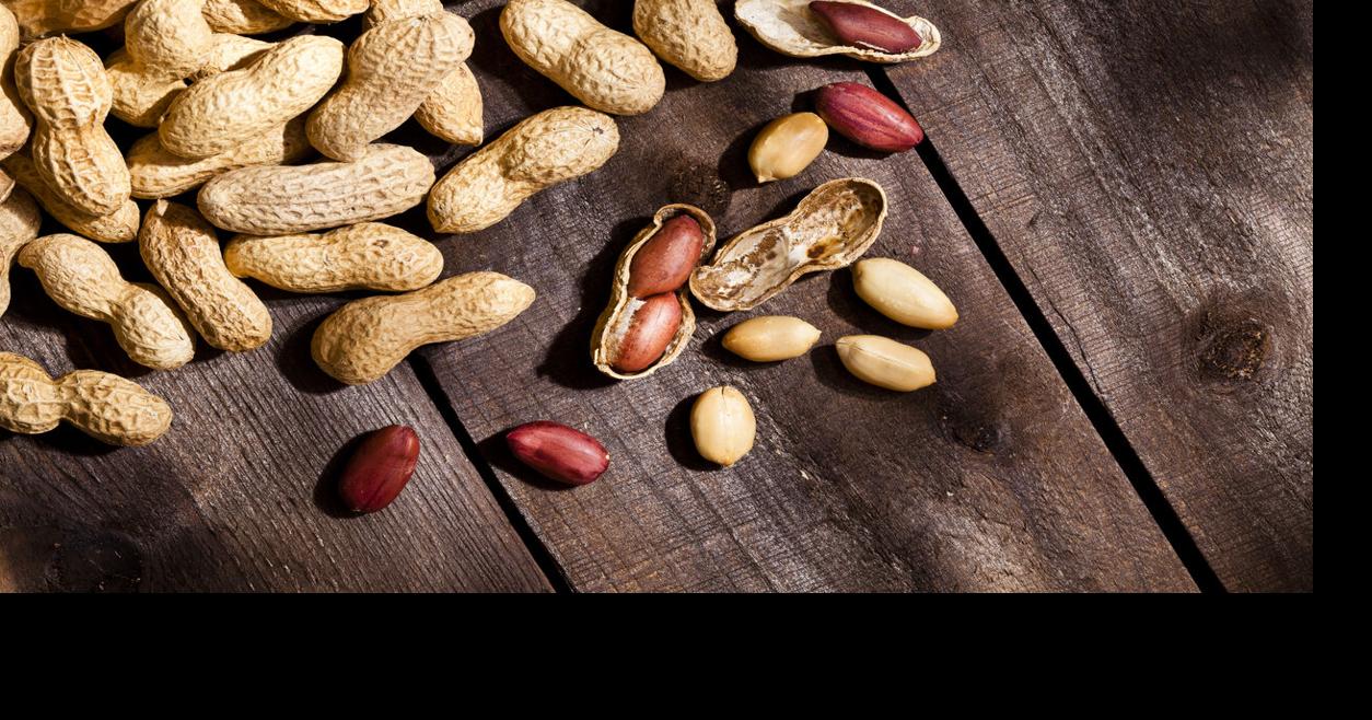 Just plain nuts: Customs agents in Memphis seize meth hidden inside ...