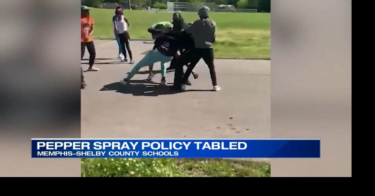 Pepper spray usage at MSCS schools increases, policy revisions tabled