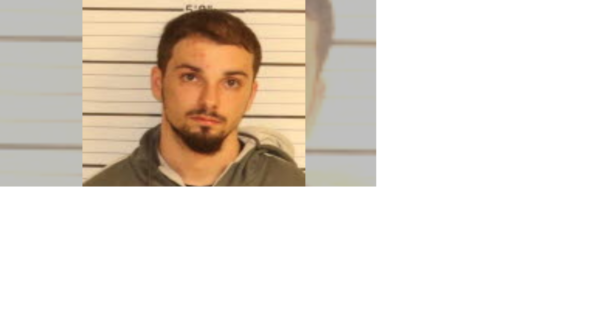 Man arrested for murder, spits on cops during arrest, police say | News ...