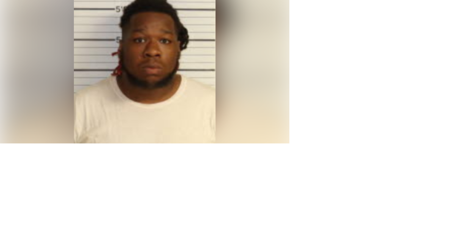 Man accused of altering MLGW checks, stealing thousands | News ...