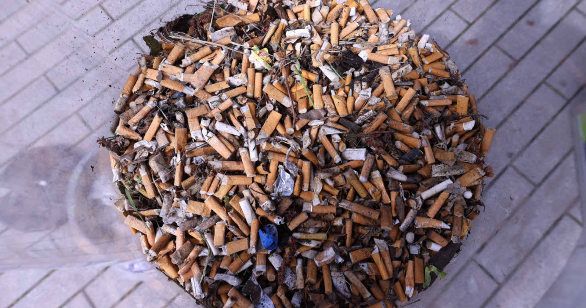 In Canada, each cigarette will get a warning label: 'poison in every puff' - Vimarsana News